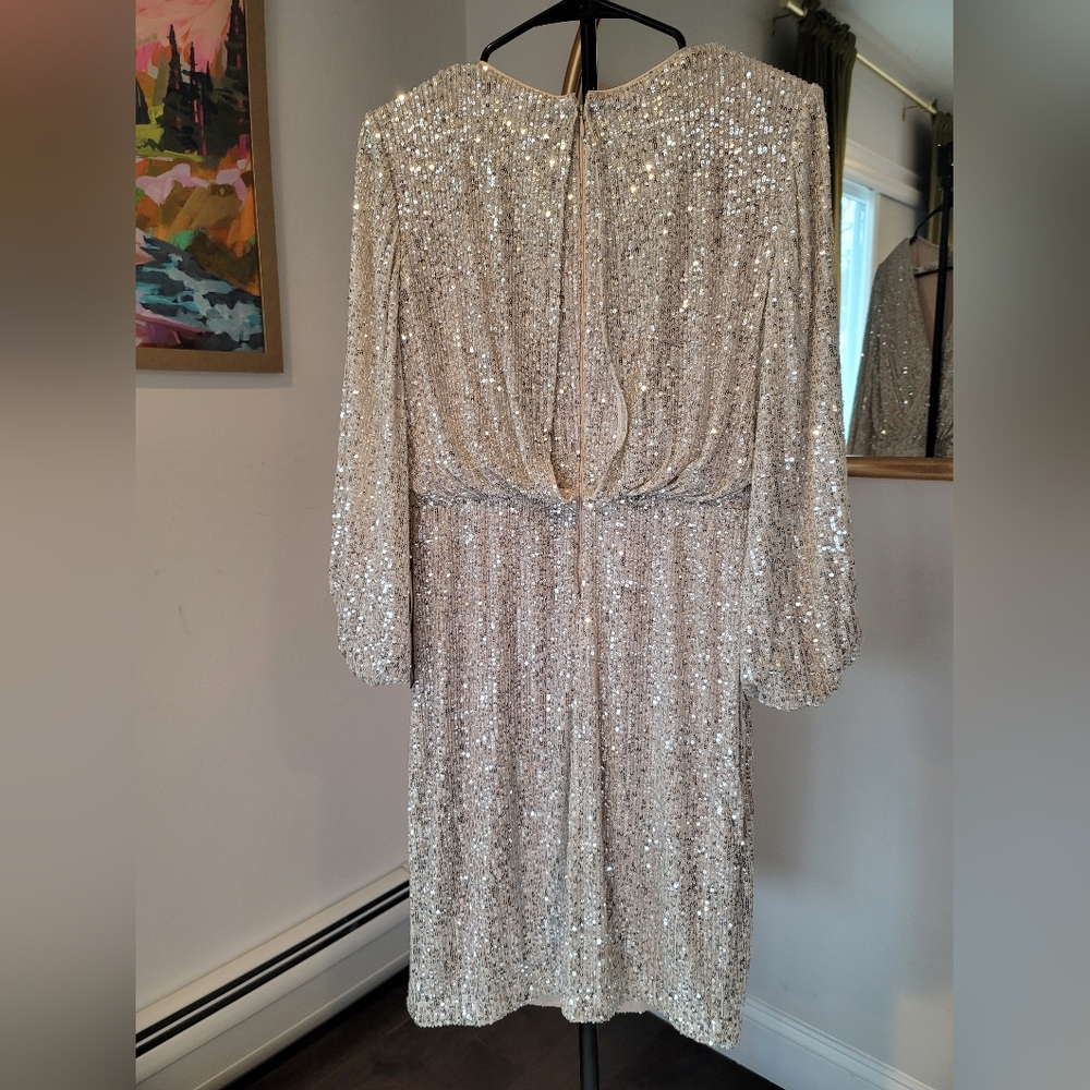 NWT Eliza J Sequin Long Sleeve Cocktail Dress Silver Blouson Size 6 - Picture 8 of 14